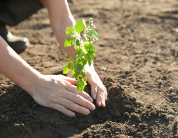 sustainable-measures-img